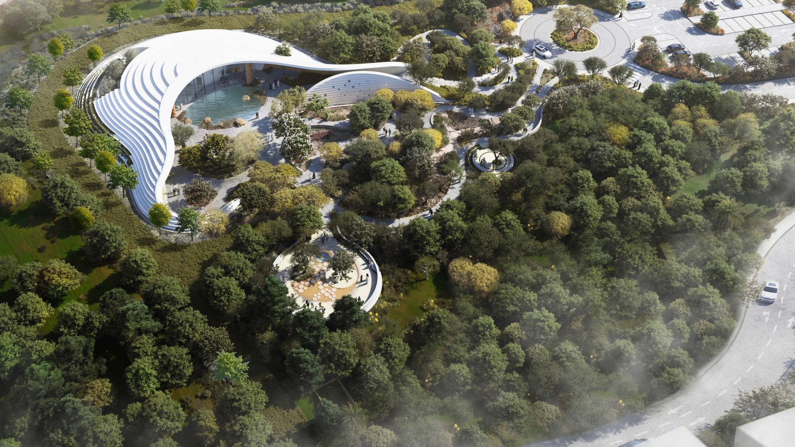 Forest experience aerial