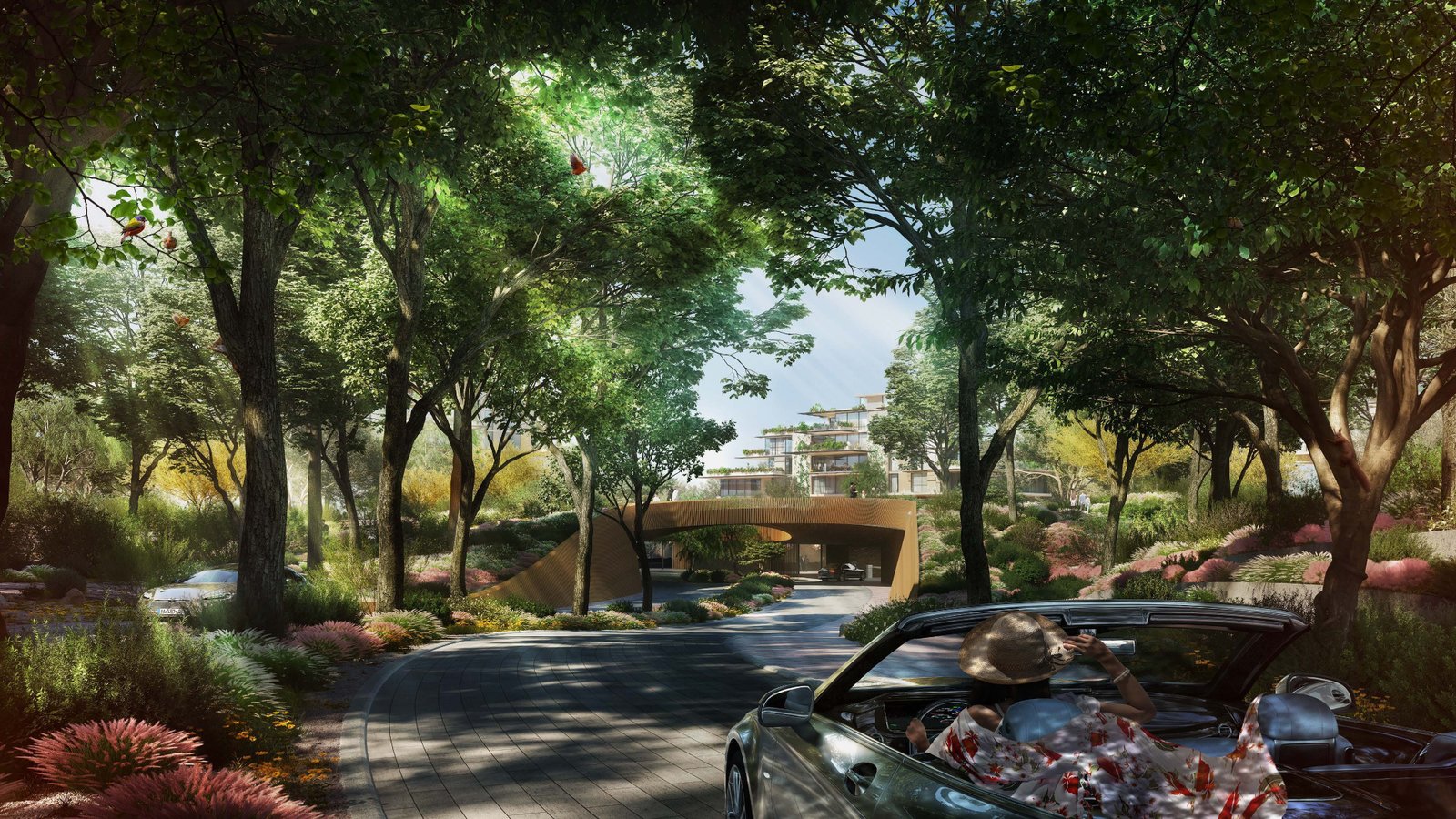 Welcome to Ghaf Woods forest walkway